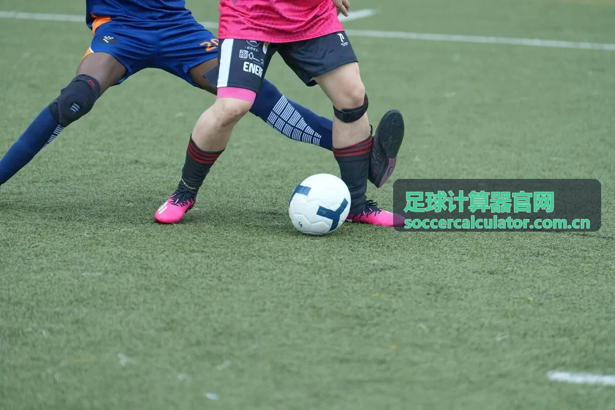 足球计算器官网大小球数据推演